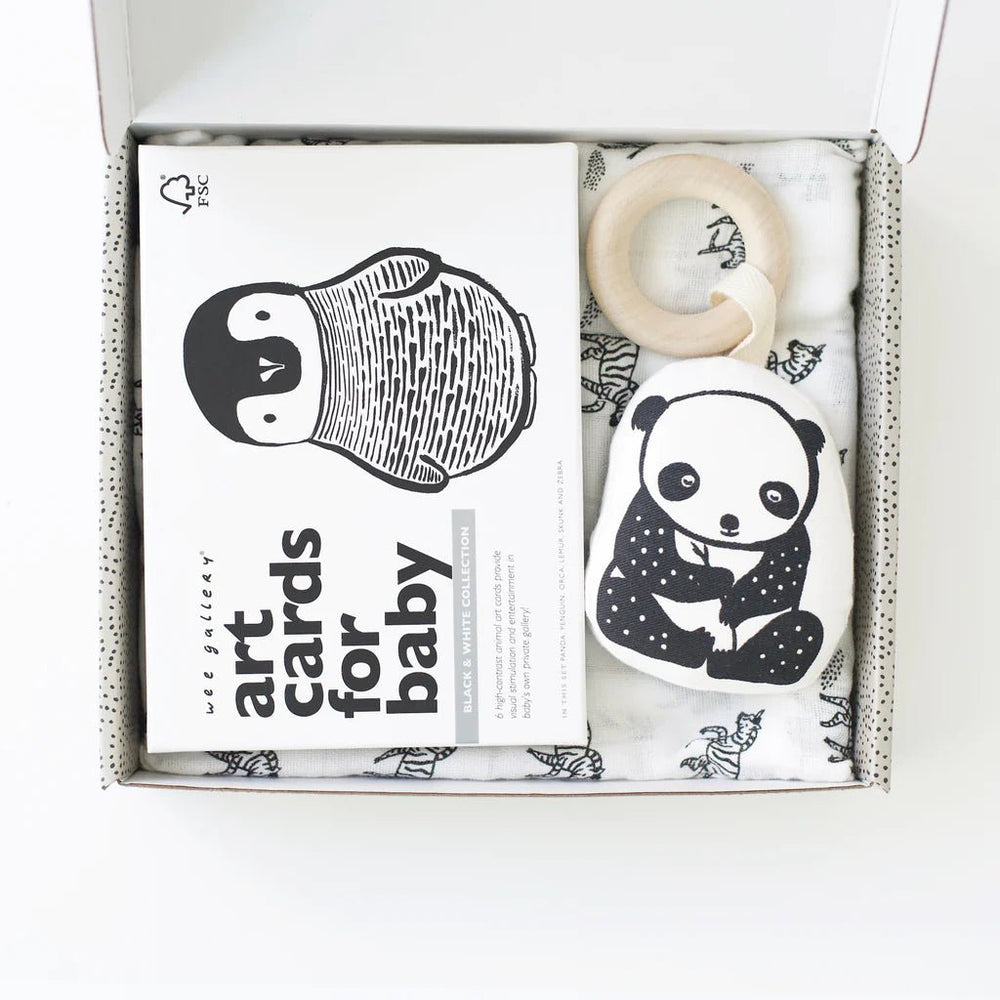 Little Naturalist Gift Set - Black + White - Guam Baby Company