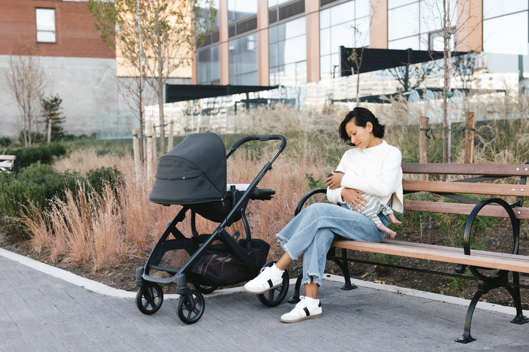 Vista V3 Stroller