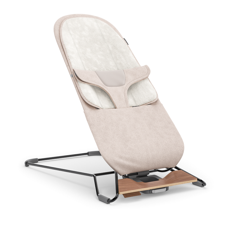 Mira 2-in-1 Bouncer and Seat