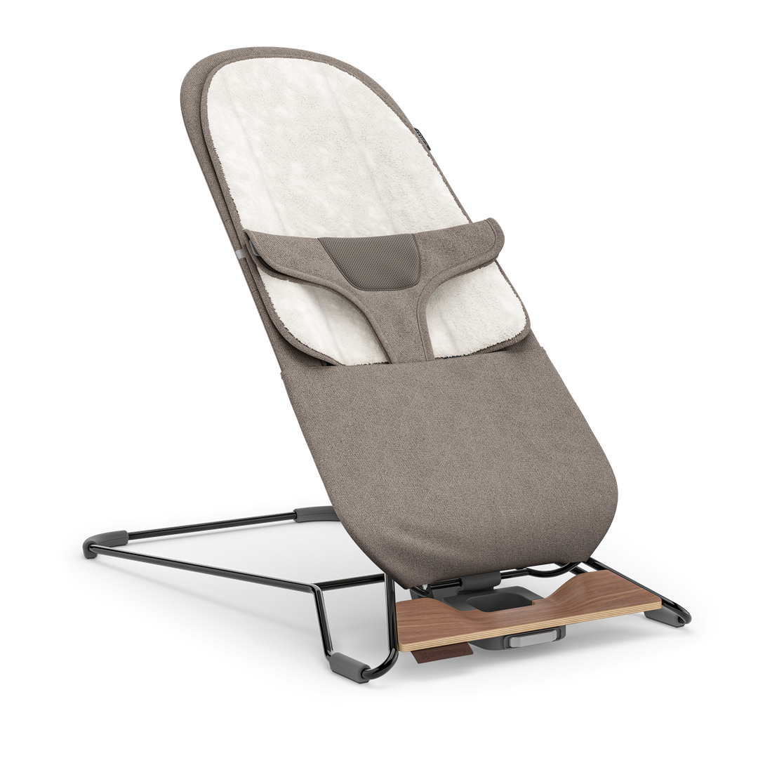 Mira 2-in-1 Bouncer and Seat