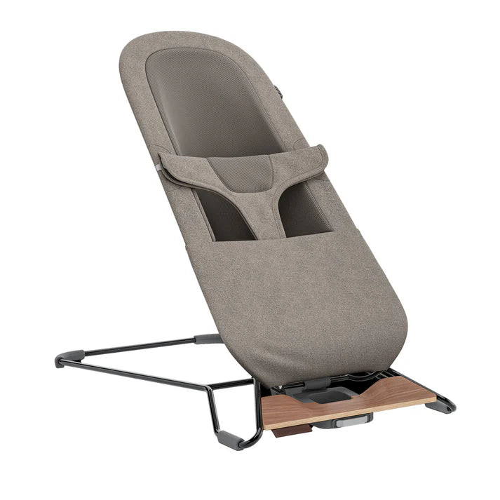 Mira 2 in 1 Bouncer and Seat