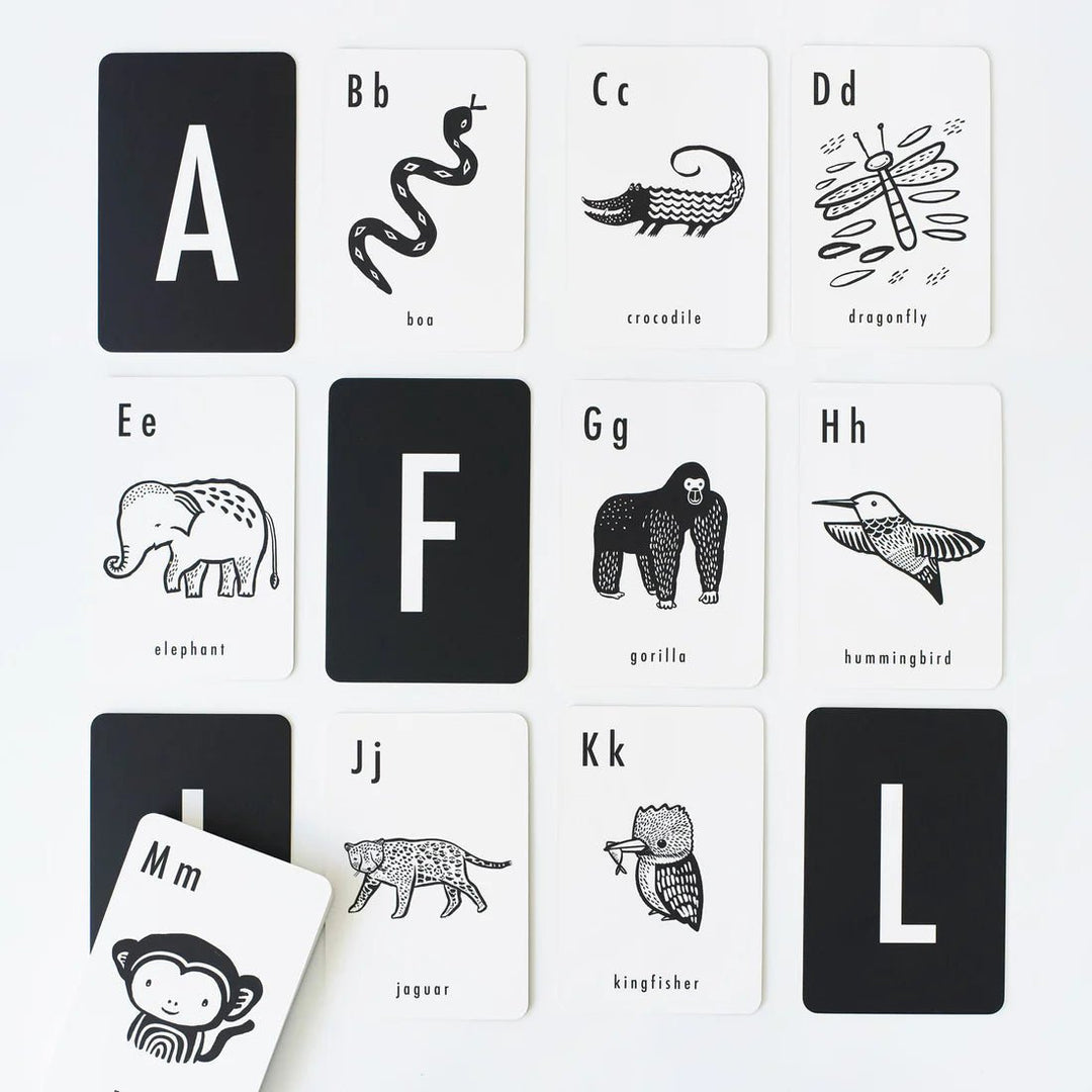Jungle Alphabet Cards - Guam Baby Company