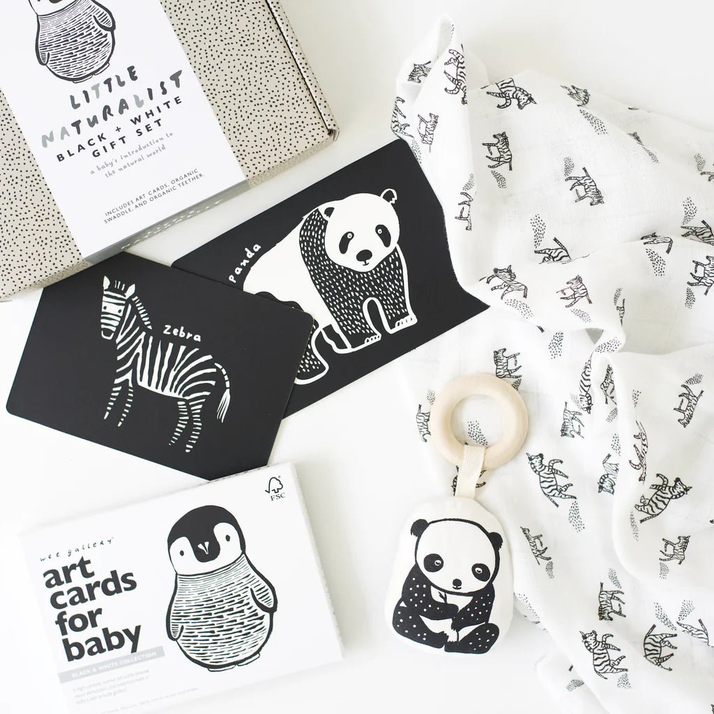 Little Naturalist Gift Set - Black + White - Guam Baby Company