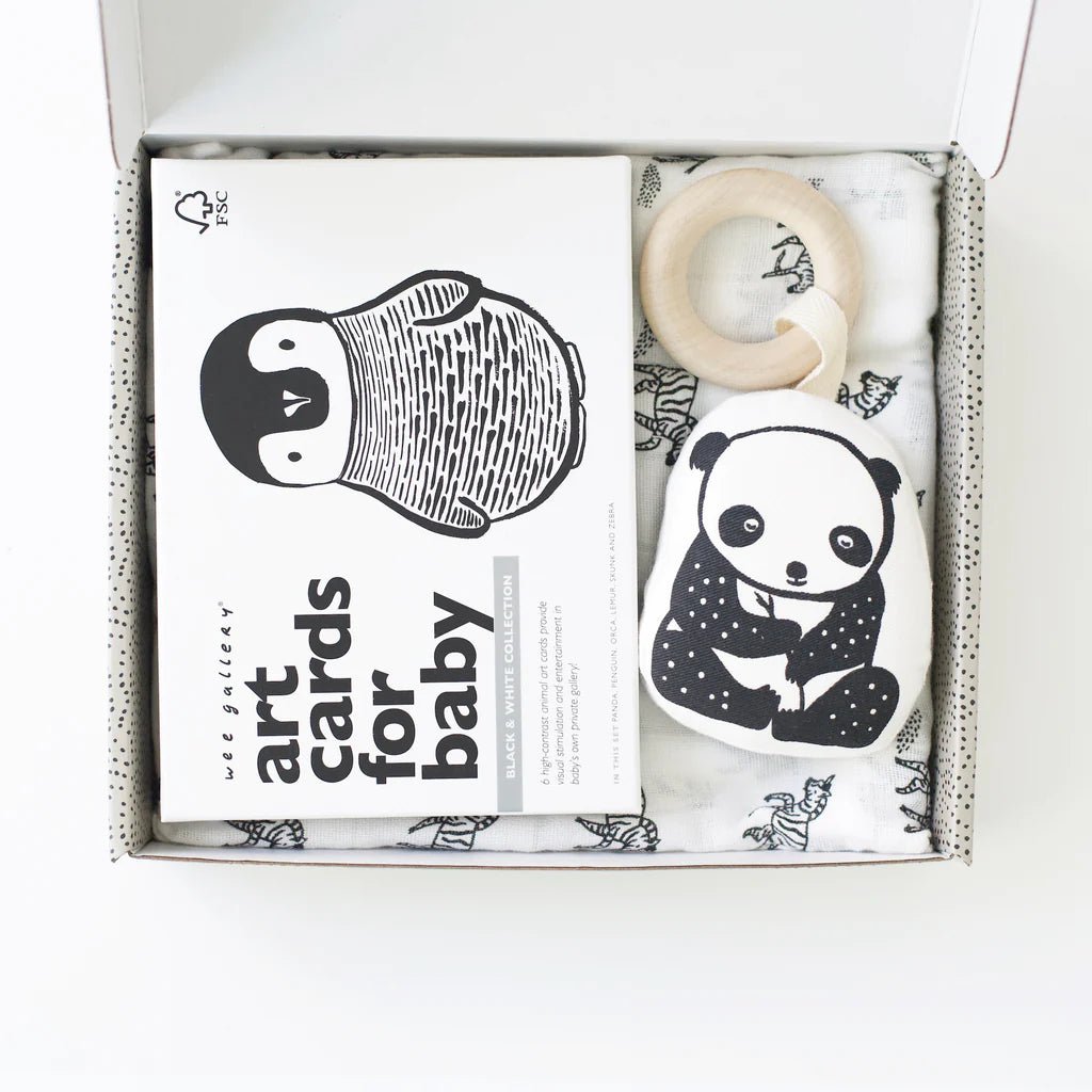 Little Naturalist Gift Set - Black + White - Guam Baby Company