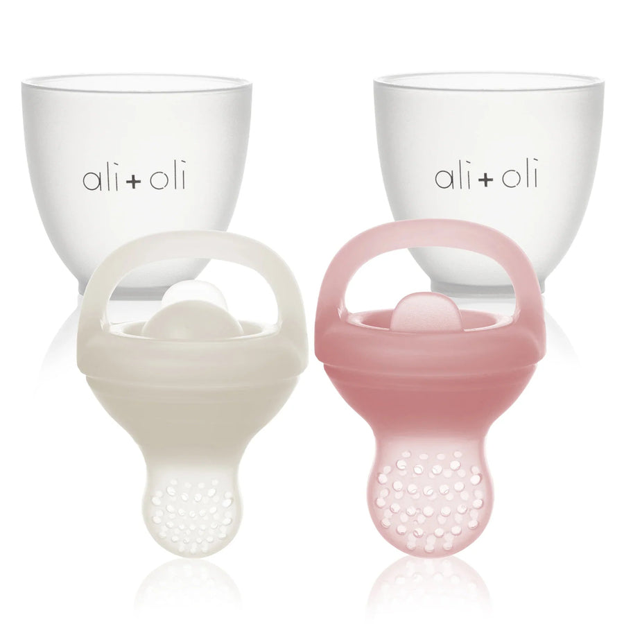 Snow & Blush - Food & Fruit Feeder Pacifier Set for Baby - Guam Baby Company